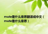 mute是什么意思翻譯成中文（mute是什么意思）