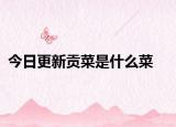 今日更新貢菜是什么菜