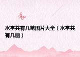 水字共有幾筆圖片大全（水字共有幾畫(huà)）