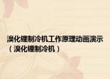 溴化鋰制冷機(jī)工作原理動畫演示（溴化鋰制冷機(jī)）