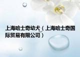 上海哈士奇幼犬（上海哈士奇國際貿易有限公司）