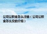 公司公積金怎么注銷（公司公積金怎么交的介紹）