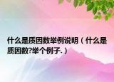 什么是質(zhì)因數(shù)舉例說明（什么是質(zhì)因數(shù)?舉個例子.）