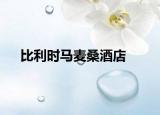 比利時馬麥桑酒店