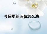 今日更新藍(lán)莓怎么洗