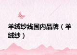 羊絨紗線國內(nèi)品牌（羊絨紗）