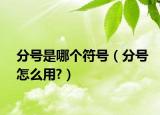 分號(hào)是哪個(gè)符號(hào)（分號(hào)怎么用?）