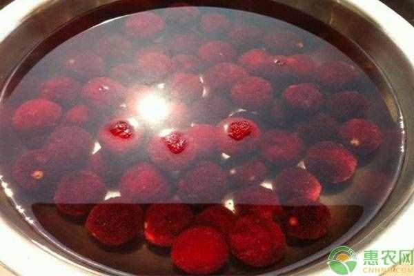 楊梅有蟲子怎么辦？三個方法讓你快速泡出楊梅蟲