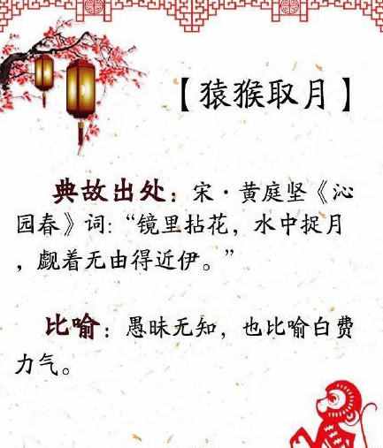 猴年怎能不知道這些與猴有關(guān)的成語呢，默默的背下來吧