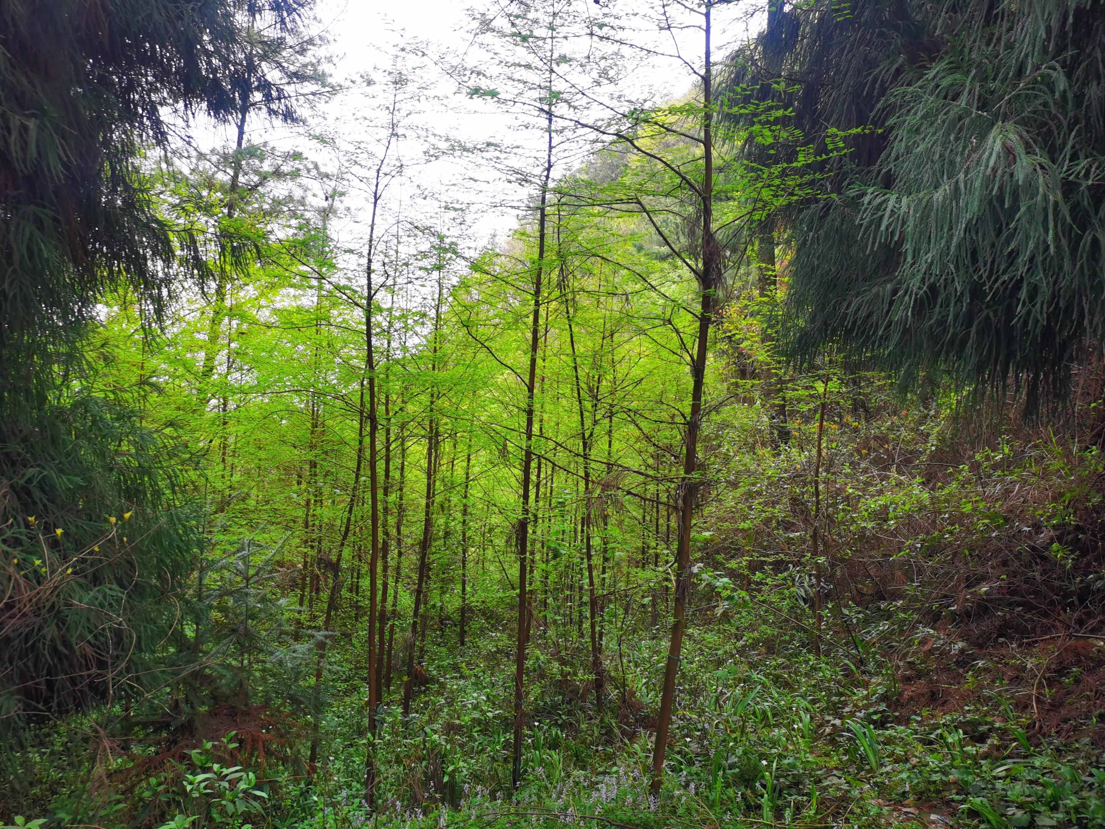 始于一見(jiàn)鐘情，衰于柴米油鹽，婚姻是妥協(xié)的藝術(shù)，家是憤怒的合作