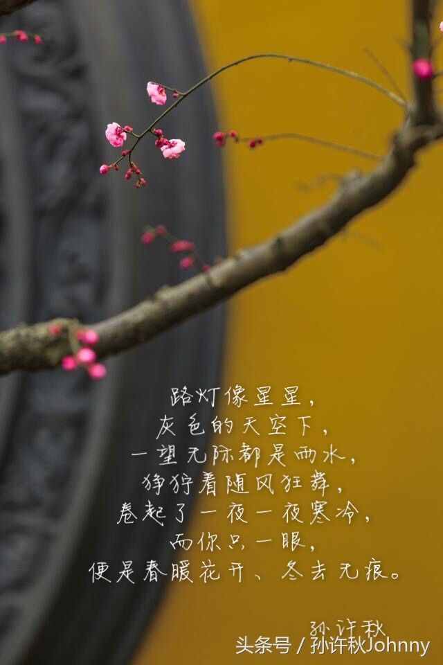 路燈像星星、而你像春風(fēng)