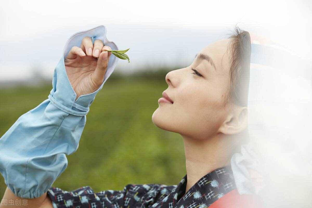 送禮茶葉哪種品牌好？有什么講究？網(wǎng)友們推薦這5款送禮茶葉