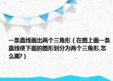 一條直線畫出兩個三角形（在圖上畫一條直線使下面的圖形劃分為兩個三角形,怎么畫?）