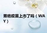 胃癌疫苗上市了嗎（WAY）