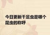 今日更新千足蟲(chóng)是哪個(gè)昆蟲(chóng)的稱(chēng)呼