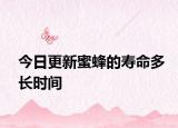 今日更新蜜蜂的壽命多長(zhǎng)時(shí)間