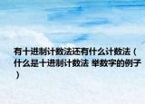有十進(jìn)制計(jì)數(shù)法還有什么計(jì)數(shù)法（什么是十進(jìn)制計(jì)數(shù)法 舉數(shù)字的例子）