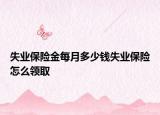 失業(yè)保險金每月多少錢失業(yè)保險怎么領取