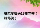 棟篤笑粵語13集完整（棟篤笑）
