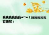我我我我我我wow（我我我我我有胸部）