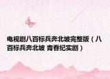電視劇八百標(biāo)兵奔北坡完整版（八百標(biāo)兵奔北坡 青春紀(jì)實(shí)?。? /></span></a>
                        <h2><a  title=