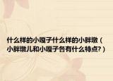 什么樣的小嘎子什么樣的小胖墩（小胖墩兒和小嘎子各有什么特點?）
