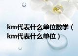 km代表什么單位數(shù)學（km代表什么單位）