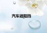 汽車(chē)遮陽(yáng)擋