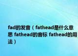 fad的發(fā)音（fathead是什么意思 fathead的音標 fathead的用法）