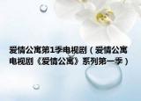 愛情公寓第1季電視劇（愛情公寓 電視劇《愛情公寓》系列第一季）
