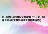 剃刀邊緣馬伊琍和文章離婚了么（剃刀邊緣 2016年文章馬伊琍主演的電視?。? /></span></a>
                        <h2><a  title=