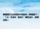 蝙蝠是什么類動物鳥類鼠類（蝙蝠屬于（　?。〢．鳥類B．鼠類C．哺乳類D．兩棲動物）