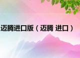 邁騰進口版（邁騰 進口）