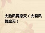 大臉鳳舞摩天（大君鳳舞摩天）