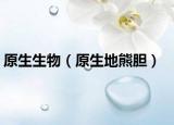 原生生物（原生地熊膽）