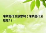瓊漿是什么意思?。ō倽{是什么意思?）