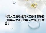 以其人之道還治其人之身什么感覺（以其人之道還治其人之身什么意思）