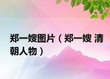 鄭一嫂圖片（鄭一嫂 清朝人物）