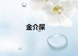 金介屎