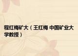 程紅梅礦大（王紅梅 中國礦業(yè)大學教授）