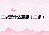 二求是什么意思（二求）