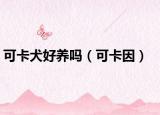 可卡犬好養(yǎng)嗎（可卡因）