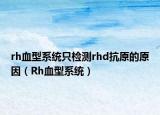 rh血型系統(tǒng)只檢測rhd抗原的原因（Rh血型系統(tǒng)）