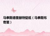 馬泰斯德里赫特壁紙（馬泰斯布奇里）