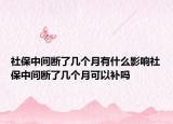 社保中間斷了幾個(gè)月有什么影響社保中間斷了幾個(gè)月可以補(bǔ)嗎