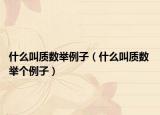 什么叫質(zhì)數(shù)舉例子（什么叫質(zhì)數(shù) 舉個例子）