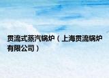 貫流式蒸汽鍋爐（上海貫流鍋爐有限公司）