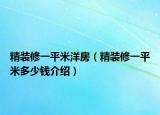 精裝修一平米洋房（精裝修一平米多少錢介紹）