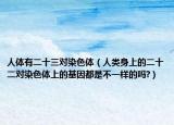 人體有二十三對染色體（人類身上的二十二對染色體上的基因都是不一樣的嗎?）