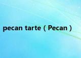 pecan tarte（Pecan）